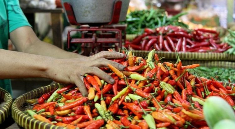 Harga Cabai Rawit Merah Naik Rp1.354 per Kg