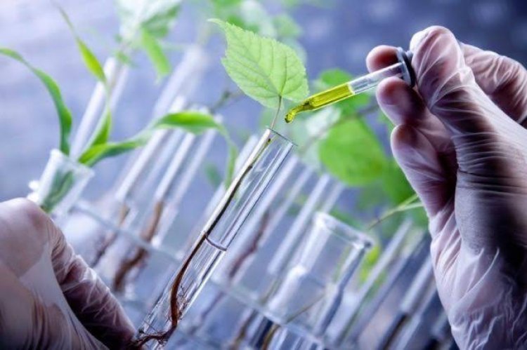 Petani Berharap Produk Bioteknologi Bisa Diterapkan di Indonesia