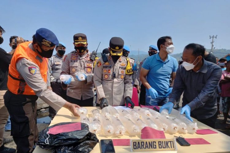 Polres Sukabumi Gagalkan Penyelundupan 4.300 Benur Lobster