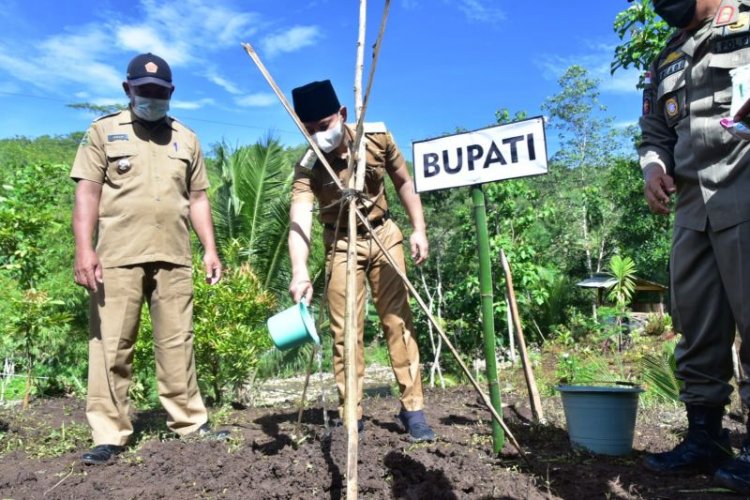 Pemkab Trenggalek Wajibkan ASN Tanam Pohon