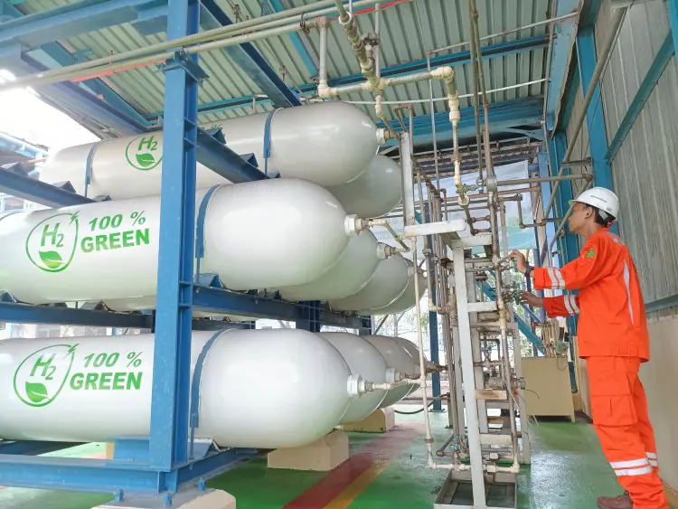 Bisa Produksi Green Hydrogen dengan Cepat, Begini Inovasi yang Dilakukan PLN